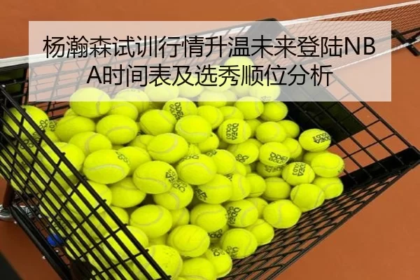 杨瀚森试训行情升温未来登陆NBA时间表及选秀顺位分析